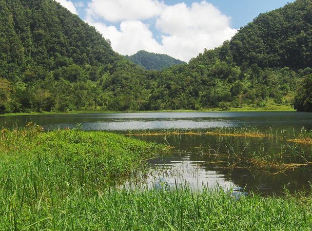 Mount Ntringui National Park